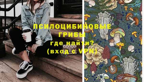 СК Вязники