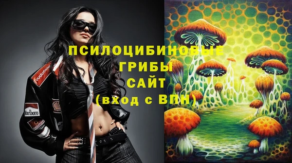 СК Вязники