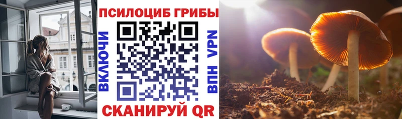 Псилоцибиновые грибы Psilocybine cubensis  дарнет шоп  Димитровград 